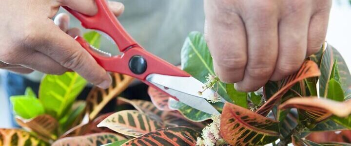 Wir haben den grünen Daumen für Ihre Grünanlage.